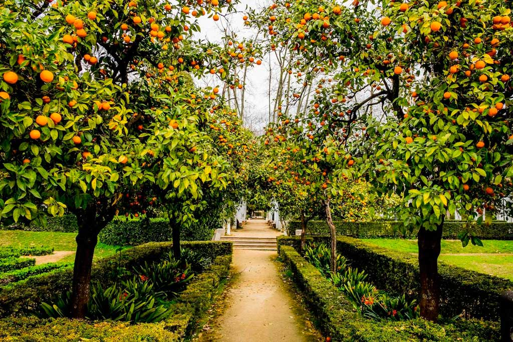 jardineiro lisboa
